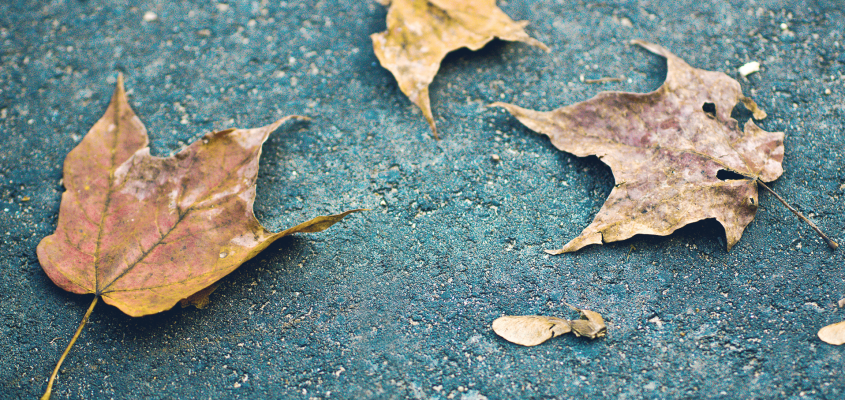 Oskar Wilde Szokács Eszter-06