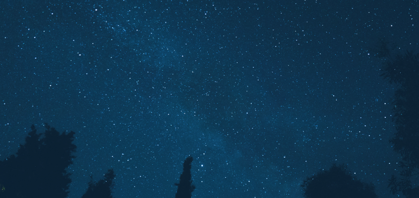 Paola Peretti Kolozsi Orsolya  Én és a cseresznyefa-02