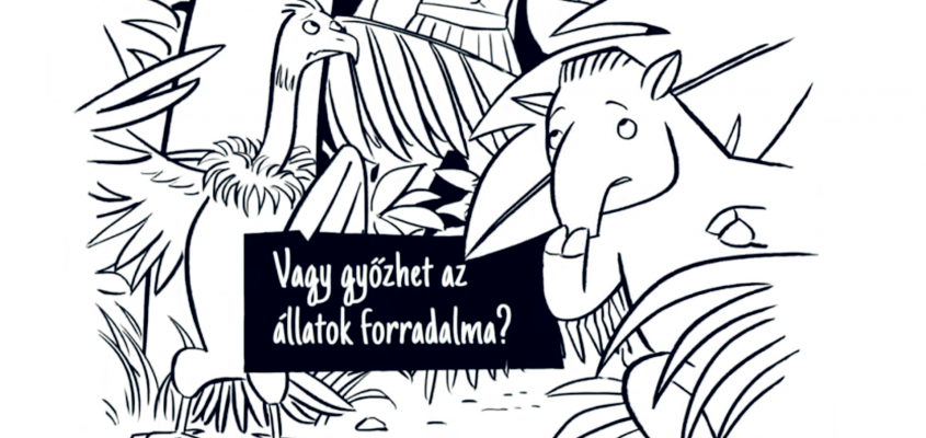 Pacsovszky Zsolt Dodó-03