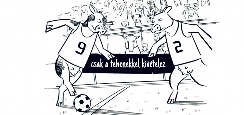 Pacsovszky Zsolt Dodó-05