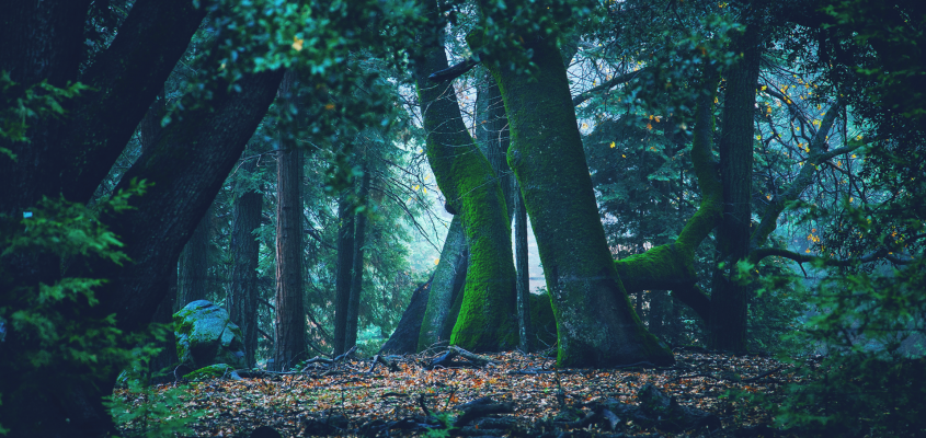 Jean-Claude Mourlevat: A Visszafelé-folyó-01