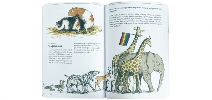 Az állatok szerelmi élete-01