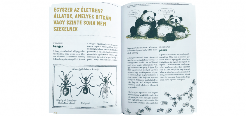 Az állatok szerelmi élete-03