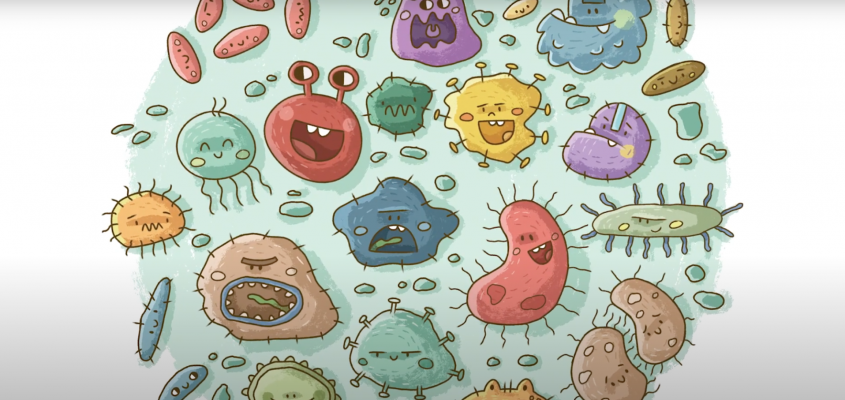 Vibók Ildi Oltás Szokács Eszter Mayer Tamás-05