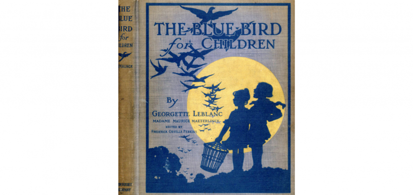 A boldogság kék madara Dr.Kerchy Anna-10