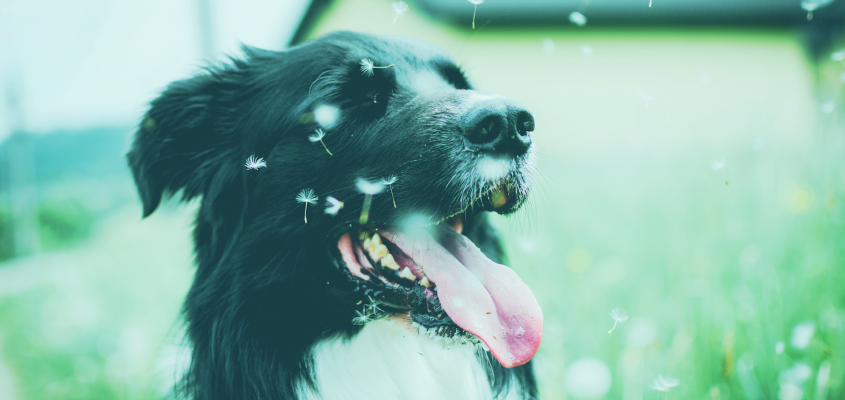 Anna Woltz Kolozsi Orsolya-02