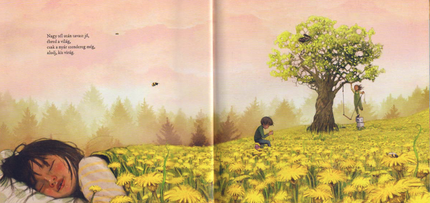 Haddy Njie: Aludj, kis virág Lisa Aisato-01