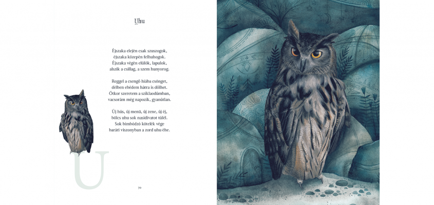 Madarabece Balazs Imre Jozsef-03