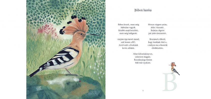 Madarabece Balazs Imre Jozsef-01