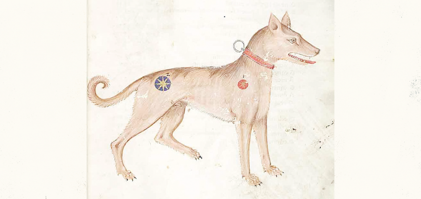 Tor Åge Bringsværd: Vau Kovács Gergely-03