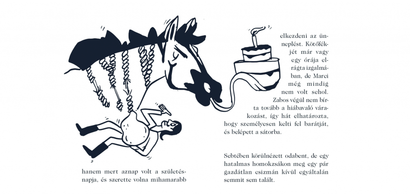 Várszegi Adél: A ló, aki zebra volt Parti Judit Csimota-02