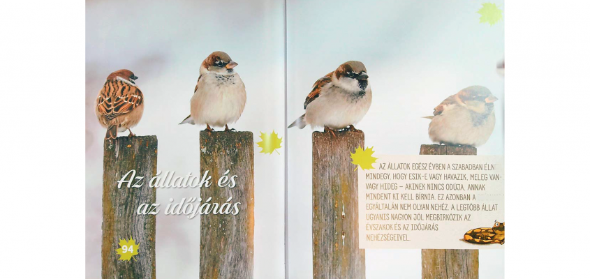 Peter Wohlleben Molnár Fanni-03