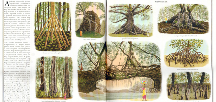 Piotr Socha Méhek Fák-02