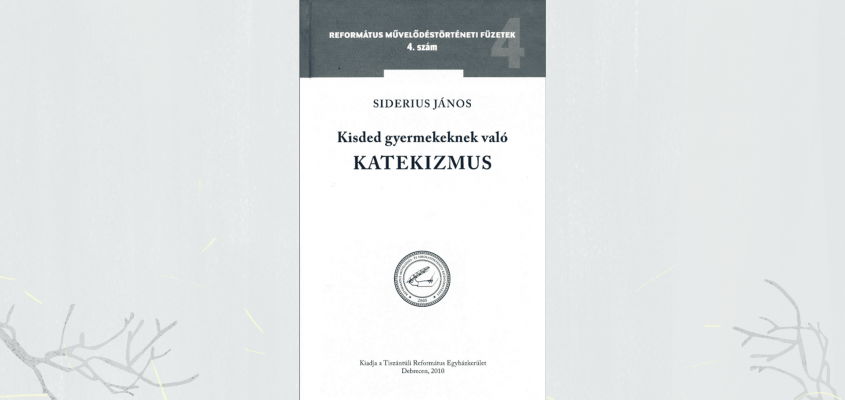 Lovas Anett Csilla tanulmány-05