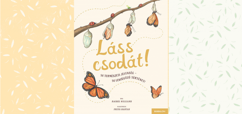 Fenyvesi Orsolya Ayhan Gökhan körkérdés-03