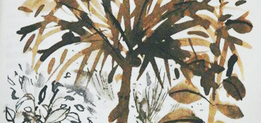 Tamkó Sirató Károly Medirám Nagy Gabriella Ágnes-01