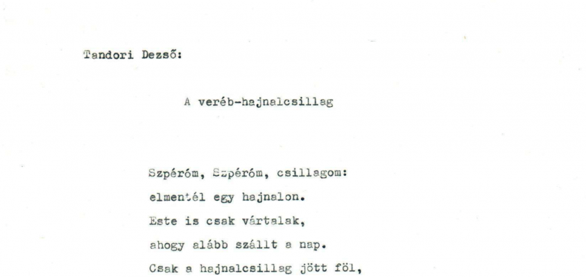 Tandori Toth Akos-01