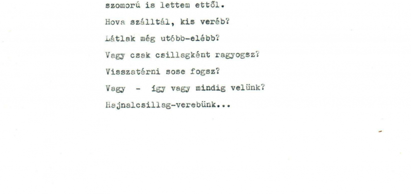 Tandori Toth Akos-02