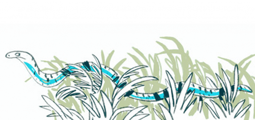 Kai Lüftner Ne legyél béka!-04