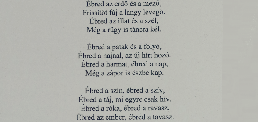 Debreceni Művelődési Központ és Ifjúsági Ház Petőfi Sándor születésének 200. évfordulója díjazott versek-03
