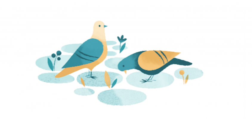 PAPRYKA ÉS RIBISZKEA Murzsa Tímea-02