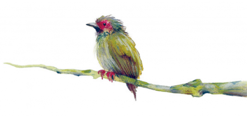 Simon Réka Zsuzsanna Spanyol könyvek-11