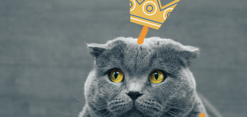 Macskák mesés könyve-02