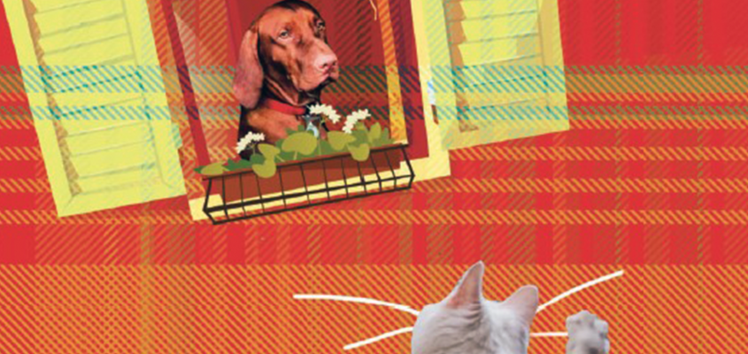 Macskák mesés könyve-05