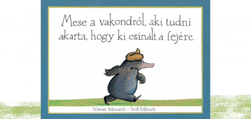 Zelei Dávid Ayhan Gökhan-03