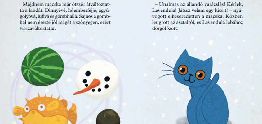 Mészöly Ágnes  A sünimentő akció Haklik Norbert-03