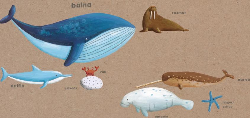 Gimesi Dóra Emma csöndje Takács Mari-12