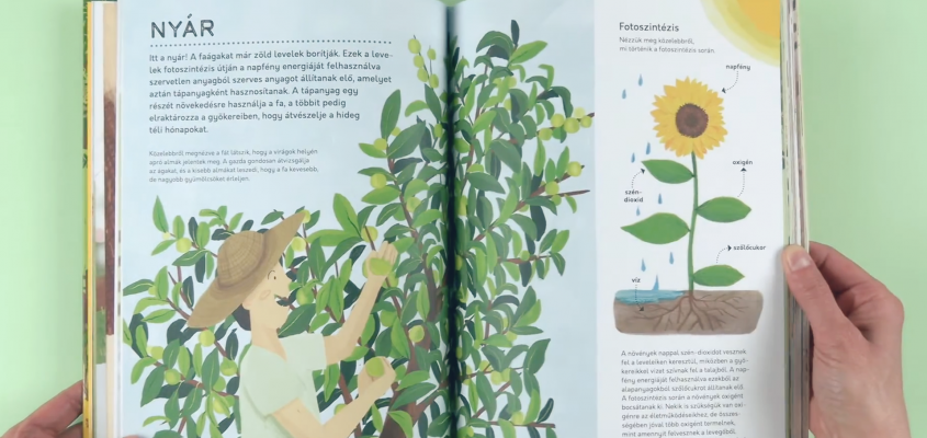 Nancy Castaldo A tápláló kert Murzsa Tímea-03