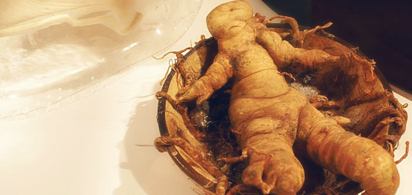 Limpár valentinnapi tanulmány-02