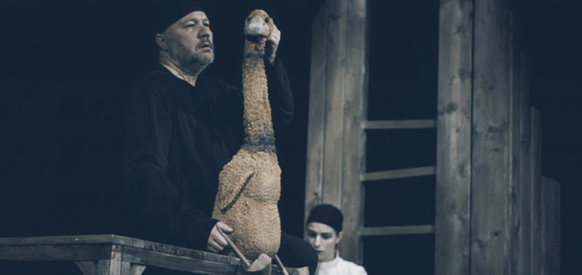 BÁLINT ZSÓFIA tanulmány Kacsa halál-06