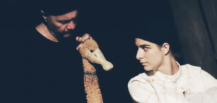 BÁLINT ZSÓFIA tanulmány Kacsa halál-07