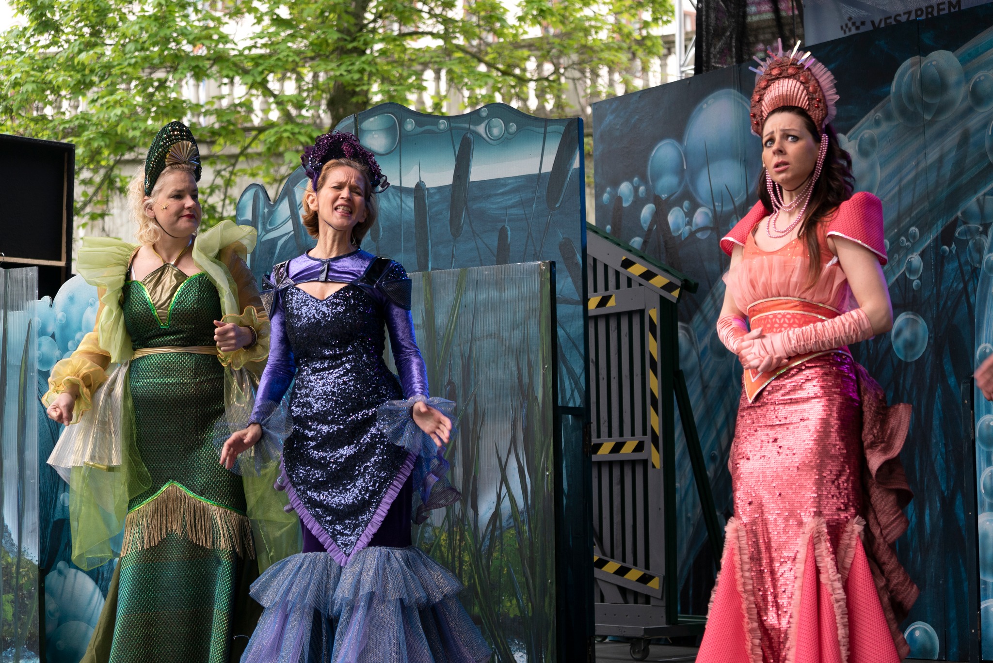 Jeney Zoltán Kacsavész-02