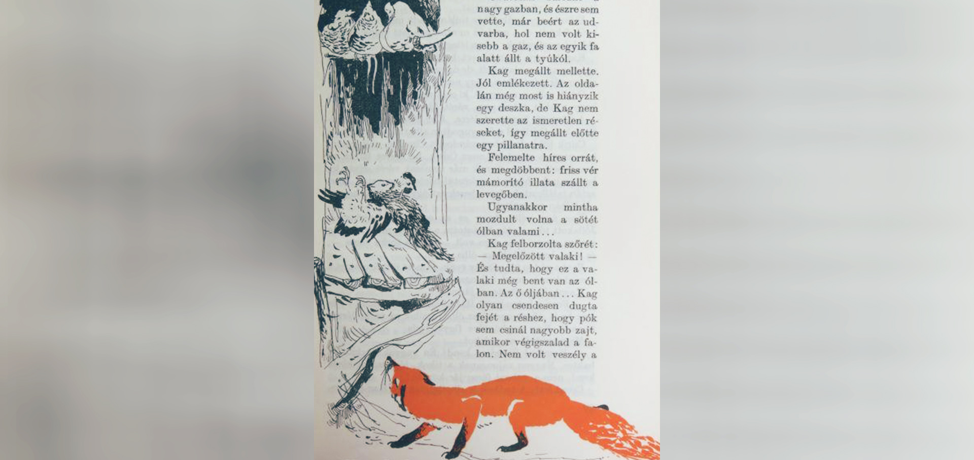 Kele Vuk Fekete Istvan-03