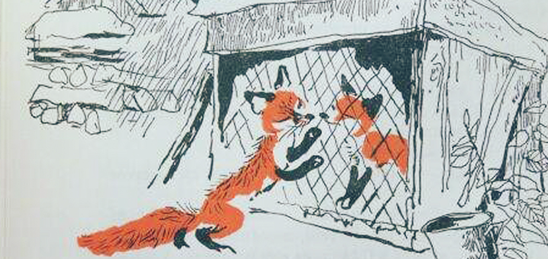 Kele Vuk Fekete Istvan-04