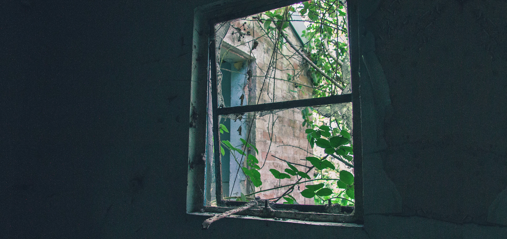 David Almond  Skellig P N Elza-01