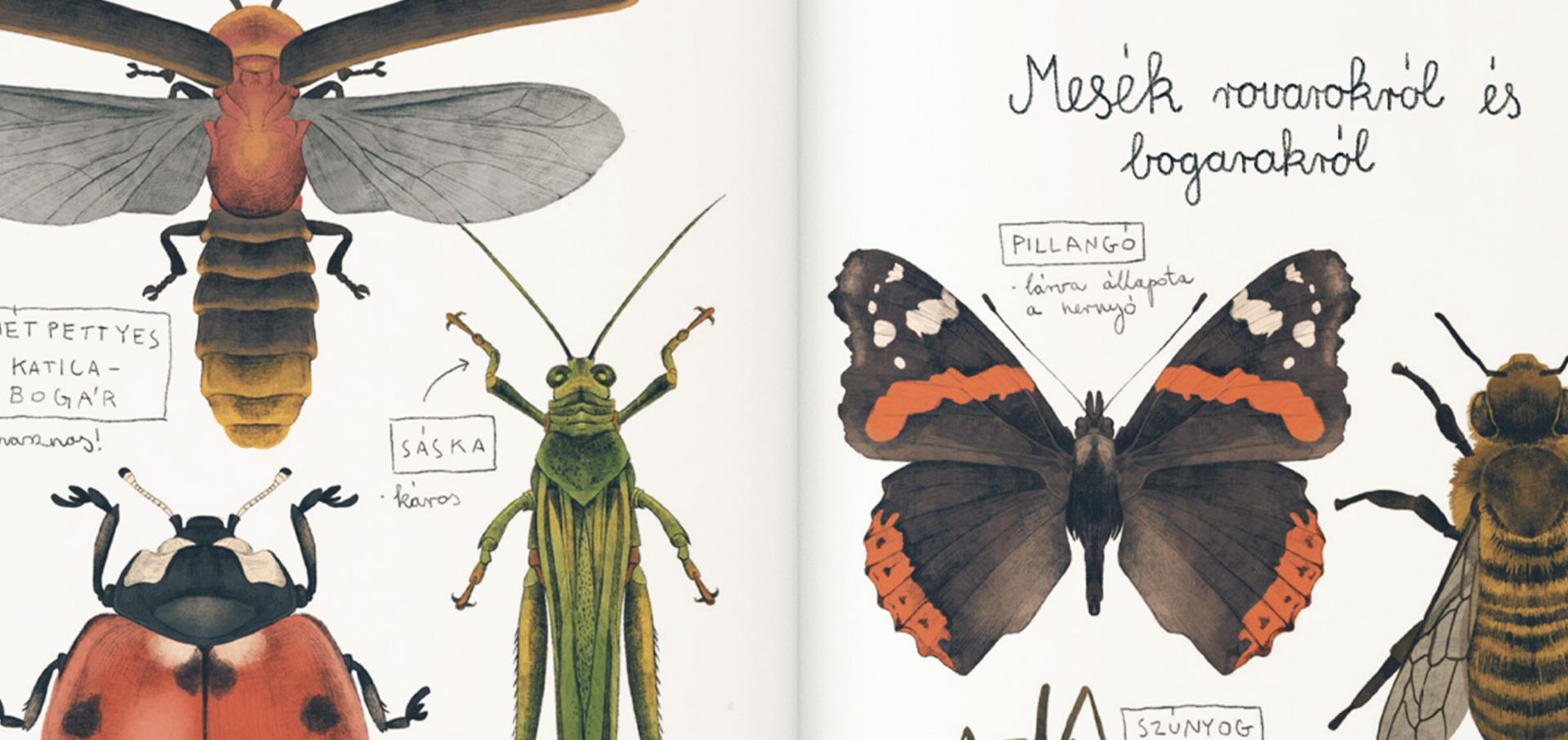 Erdő erdő Bajzáth Dolensky Csorgei-02