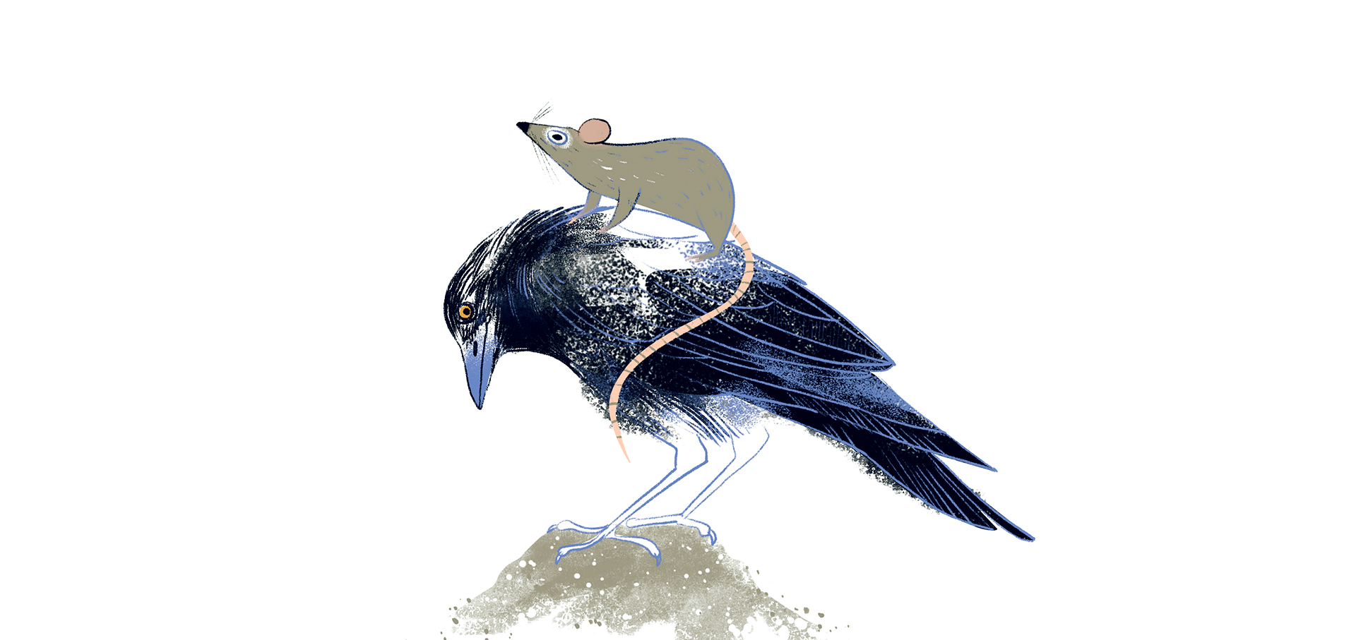 Nagyvárosi népmesék Zalka Csenge Virag Voros Julia-03