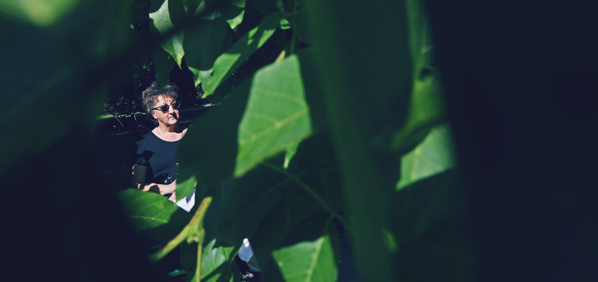 erdos zsuzsanna poos bach-07