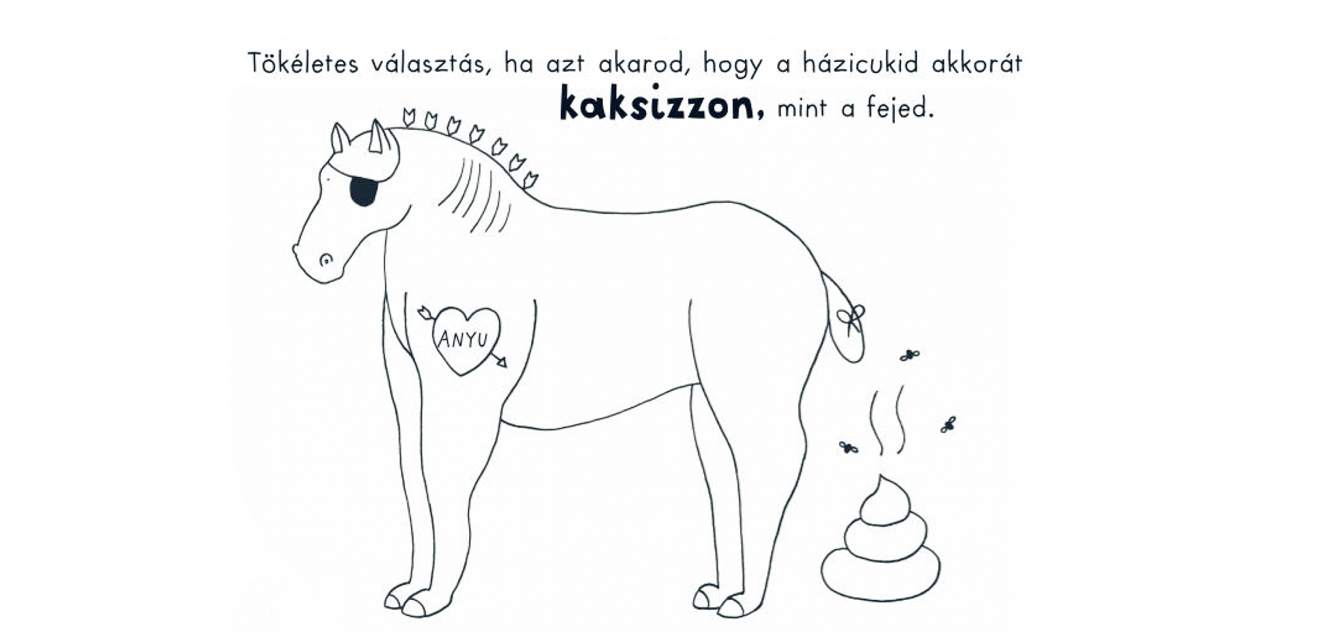 A házicukik mókás élete-03