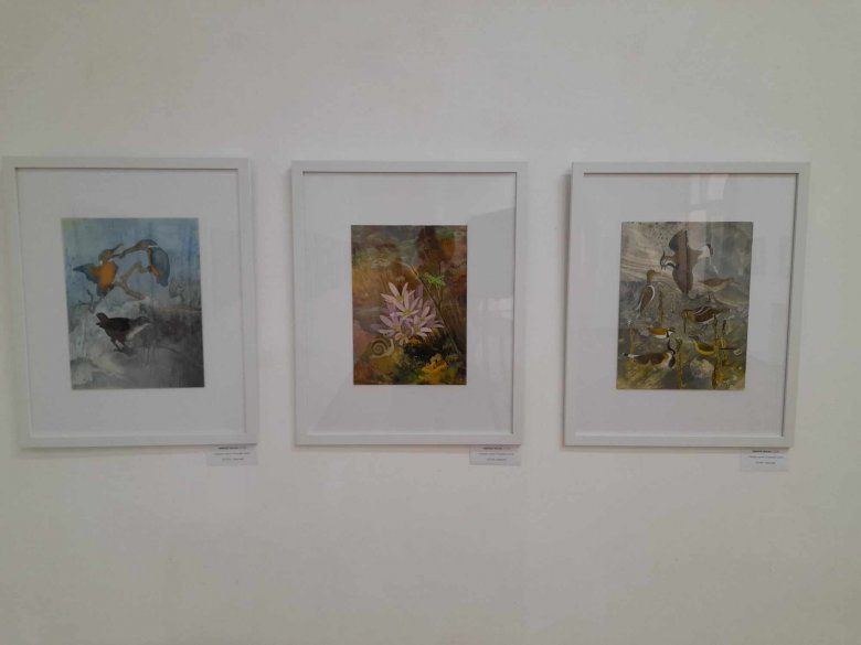 koloratura Bak Sara-01