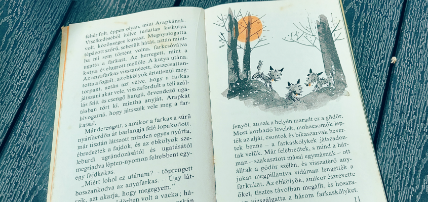 csehov poós zoli-01