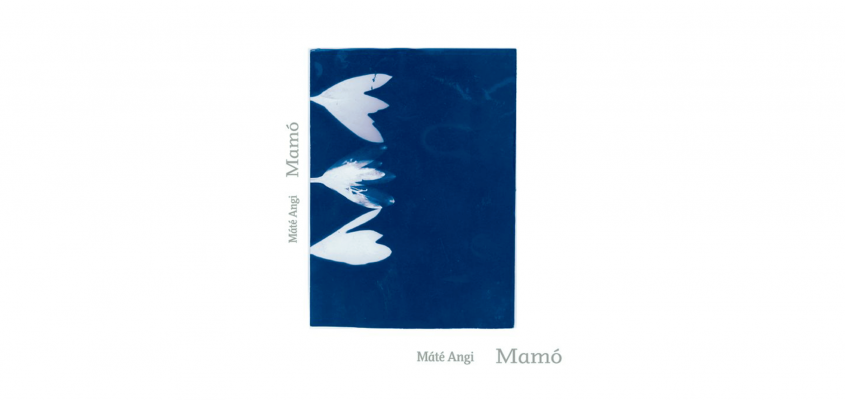 Mamó Máté Angi