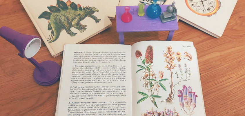 Poós Zoltán Miniverzum Buvár Kolibri-01