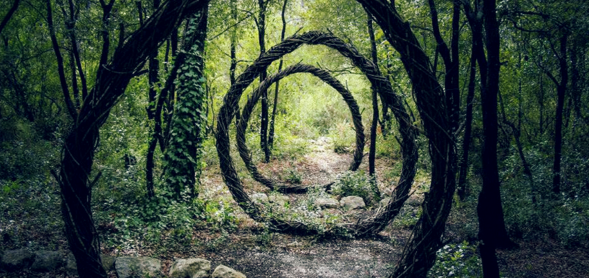 vissza a rengetegbe RUSVAI MÓNIKA-09