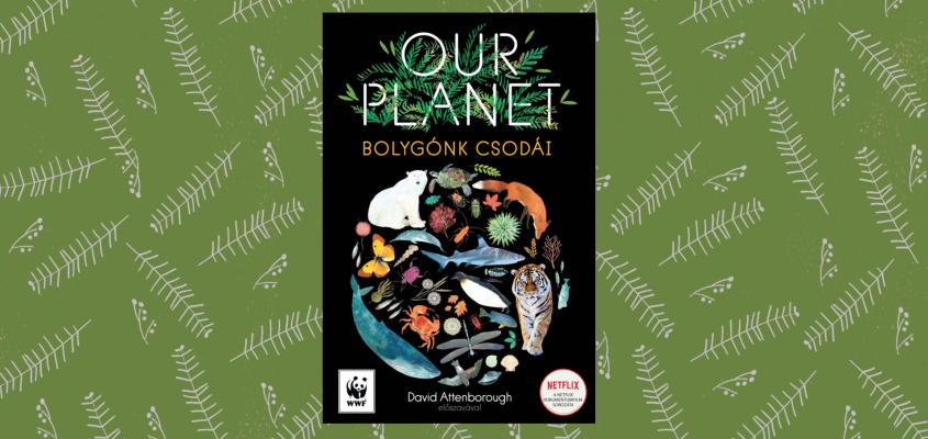 Piü ajánló zöld-01