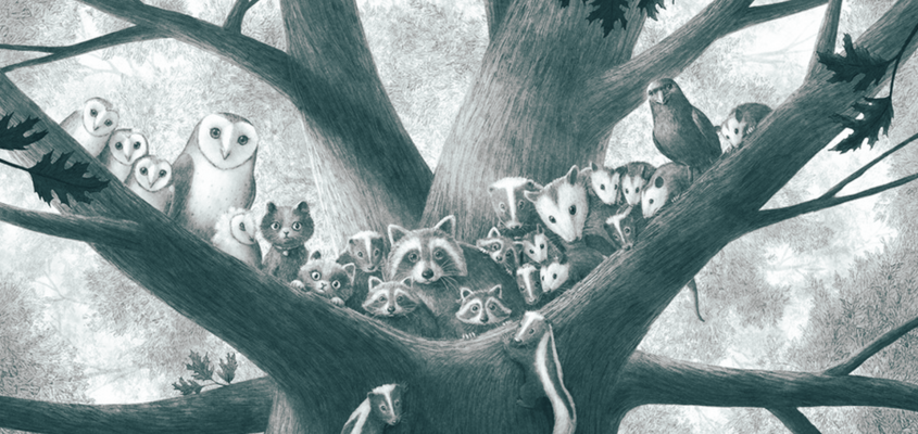 Katherine Applegate Kívánságfa Kocsis Katica-01